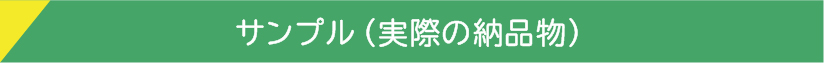 サンプル(実際の納品物)