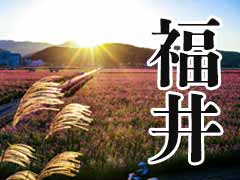 福井県の地盤調査実績
